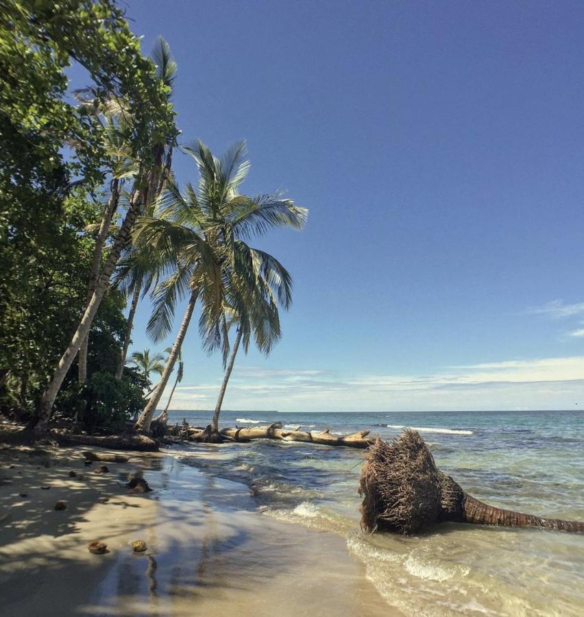 Posada Nena Caribe Puerto Viejo de Talamanca 외부 사진