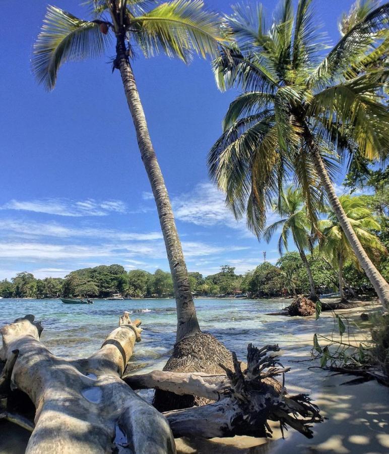 Posada Nena Caribe Puerto Viejo de Talamanca 외부 사진