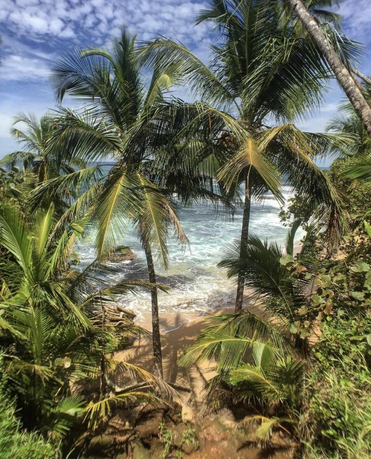Posada Nena Caribe Puerto Viejo de Talamanca 외부 사진