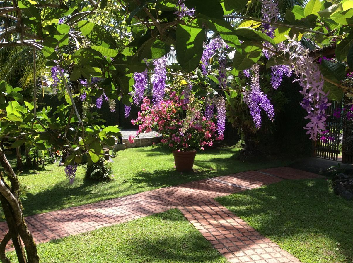 Posada Nena Caribe Puerto Viejo de Talamanca 외부 사진